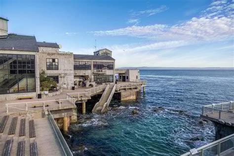 Monterey Bay Aquarium Releases Reopening Plan Day After Boardwalk News Lookout Local Santa Cruz