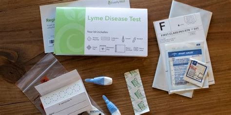 At Home Lyme Disease Blood Test Easy To Use And Understand Everlywell