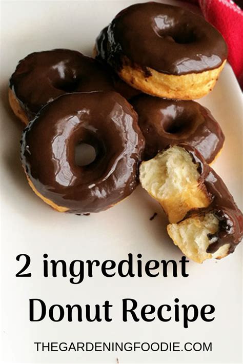 2 Ingredient Donuts Easy Donut Recipe Donut Recipe No Yeast