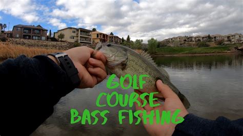 Golf Course Bass Fishing Youtube