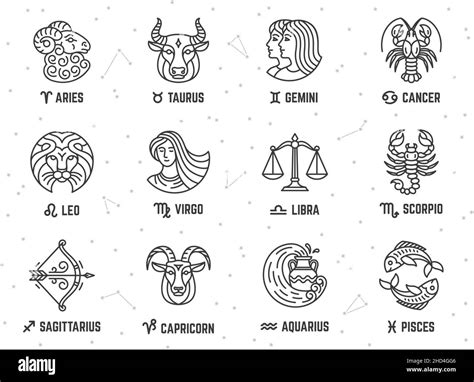 Zodiac signs. Astrology sign and constellation, aries cancer, libra