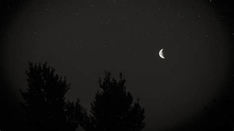 Download Wallpaper 1366x768 Moon Night Sky Tree Stars Dark Tablet