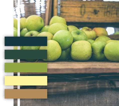 10 Food Themed Color Palettes For Your Branding Inspiration — Mariah