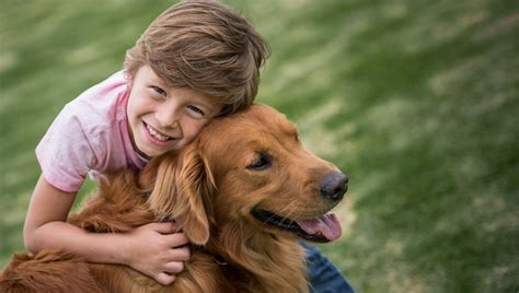 10 Besten Kinderfreundlichen Hunderassen Für Familien Haustiere Welt