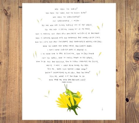 Summers Day By Mary Oliver Grasshopper Wild Precious Life Etsy