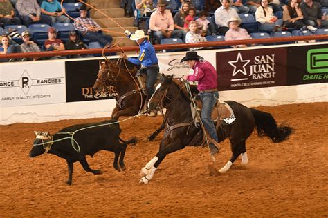 2022 ARHFA World Championships