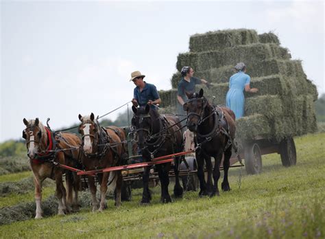 Judge Ends Oversight In Battle Over Amish Girls Chemo Treatment Tpm