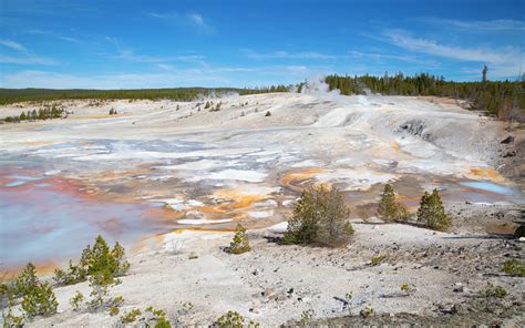 Norris Geyser Basin In The Yellowstone National Park Usa Fotocorsi