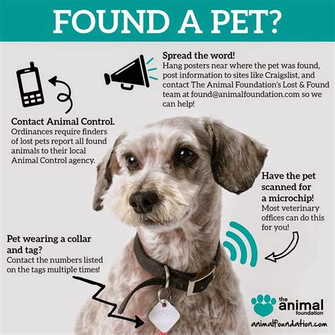 Pets N More Tips On Finding A Missing Pet