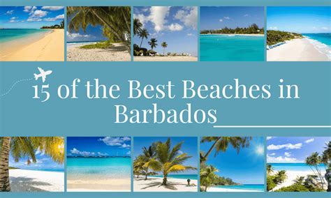 15 best beaches in barbados for swimming and snorkelling