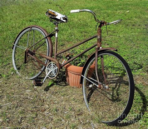 Rusty Old Bike Photograph By D Hackett