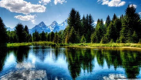 Mountain Lake Background Zoom Wallpapers