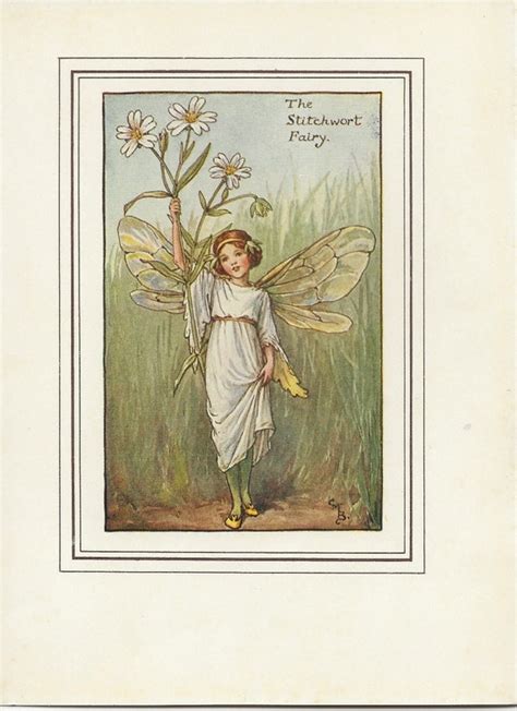 Flower Fairies The Stitchwort Fairy Vintage Print C1930 By Etsy