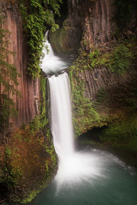 Usa Oregon Umpqua National Forest Photograph By Jaynes Gallery Pixels