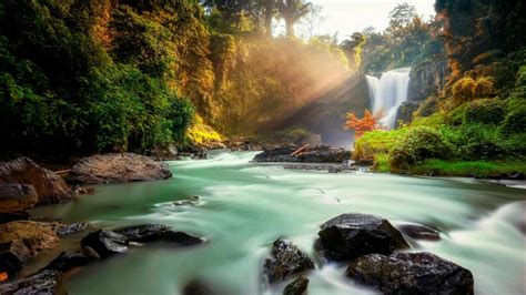 Tegenungan Waterfall Bali Wallpaper Backiee