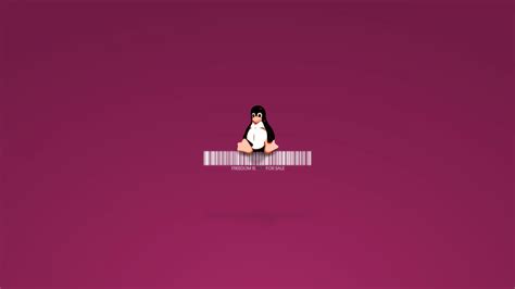 3840x2160 Linux 4k Hd Wallpaper Amazing Penguin Wallpaper Hd