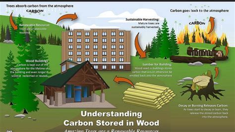 Wood Making Significant Environmental Impact On Buildings Proud Green