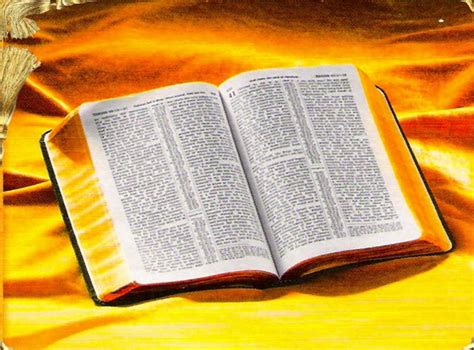 Biblia Reina Valera 1960 ¡todos Los Detalles El Blog De Imosa