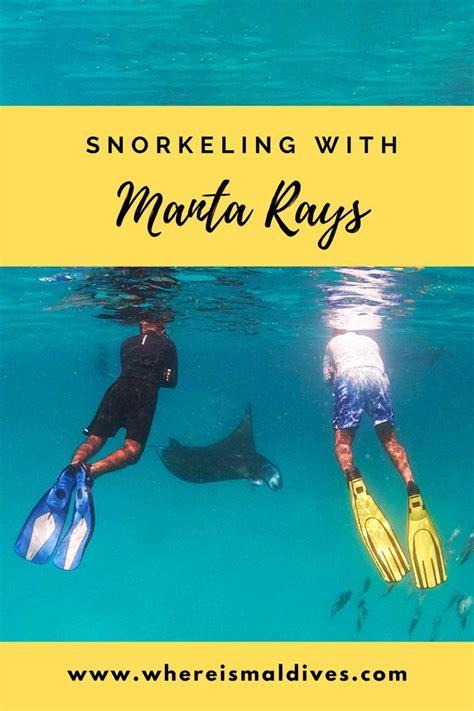 Snorkeling With Manta Rays Where Is Maldives Maldives Travel Guide