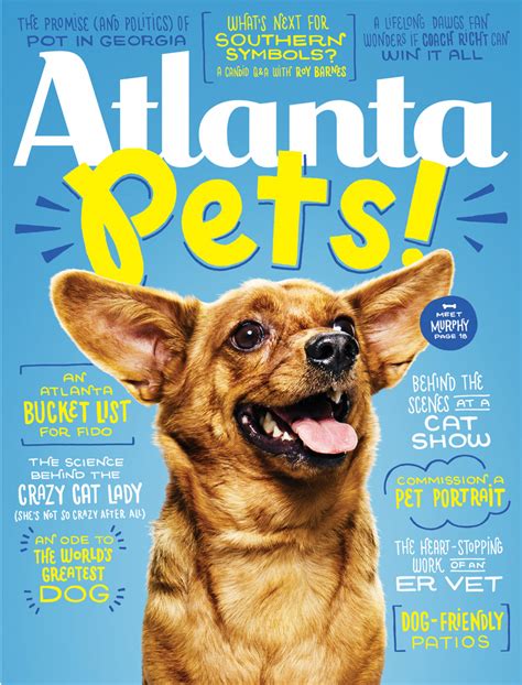 Pet stores are banned from selling dogs and cats in atlanta thanks to a new bill passed into law on tuesday. Atlanta Pets Guide - Atlanta Magazine