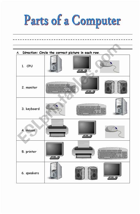 Components Of Computer Worksheet