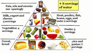 Diet Chart For Tennis Player Clip Art Library