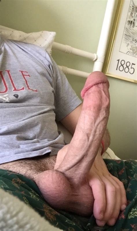 The Cock Is So Erect That My Veins Are About To Explode