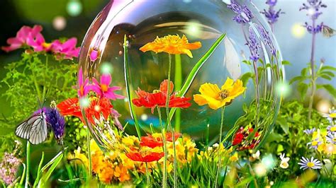 Free Download Spring Wallpaper Widescreen Hd Wallpapers On Picsfaircom