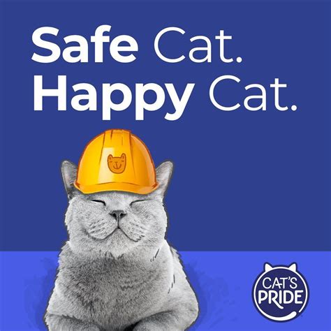 October Is Animal Safety And Protection Month Do You Have A Cat First