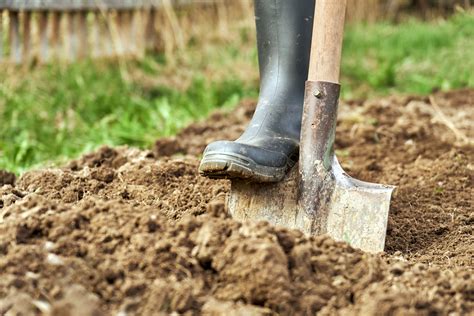 7 Tips for Preparing Clay Soil for Planting Vegetables - Food Gardening Network