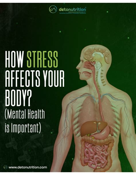 Ppt How Stress Affects Your Body Detonutrition Powerpoint