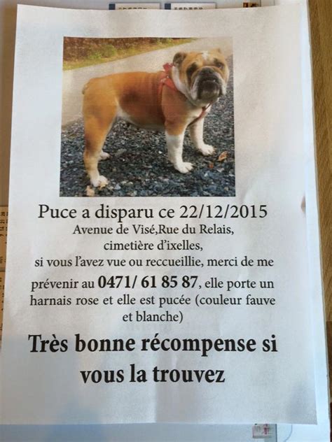 Avis De Recherche