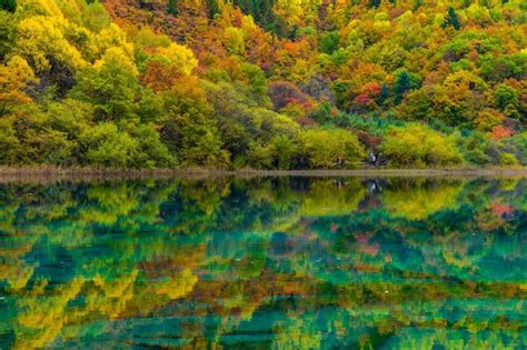 Premium Photo Colorful Autumn In Jiuzhaigou National Park Sichuan China