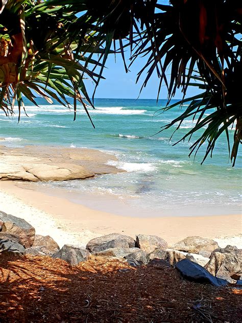 Sunshine coast accommodation, weather, things to do & more! Sunshine Coast Australia : MostBeautiful