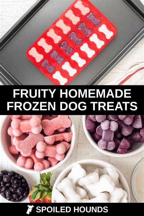 Easy Frozen Dog Treats Recipe Spoiled Hounds