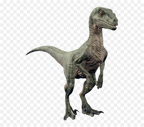 Velociraptor Jurassic World Evolution Hd Png Download Vhv