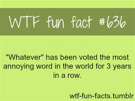 Funny Weird Facts Desktop Background Funnypicture Org