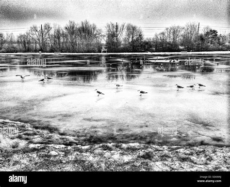Winter Scene Frozen Lake Stock Photo Alamy
