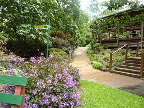 Walkways And Prominent Plantings Tamborine Mountain Botanic Gardens