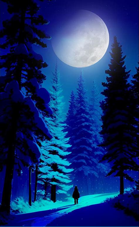 Moonlight Forest Digital Art By John Wills Fine Art America
