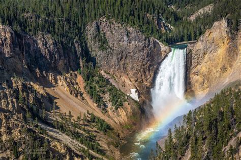 Lower Falls Of The Yellowstone River From Lookout Point In Yellowstone