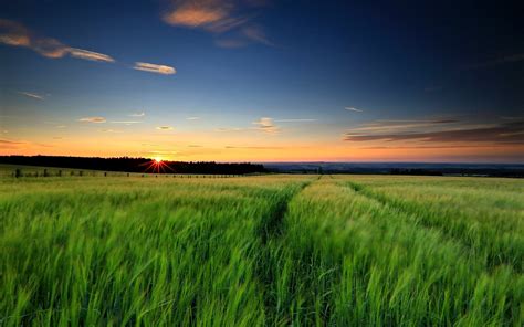 Nature Landscape Green Grass The Field Sun Sunset Night Sky Background Wallpaper Widescreen Full