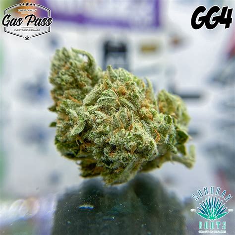 Gg4 By Canamo Concepts A Gas Pass Review Hippy Life Entertainment