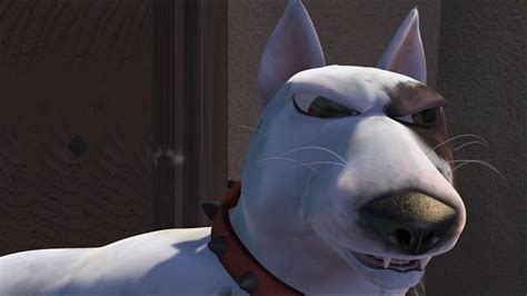 The Daily Paw Its Scud From Toy Story