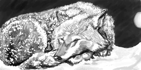 Sleeping Wolf By Flamefoxe On Deviantart