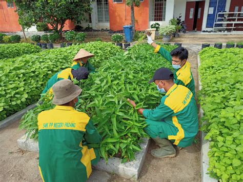 Mengenal Kompetensi Keahlian Di Smk Pp Negeri Padang 1 Agribisnis