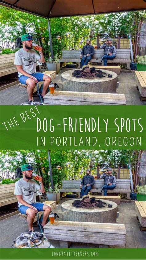 Portland Oregon Is One Of The Most Dog Friendly Cities In The Us Use