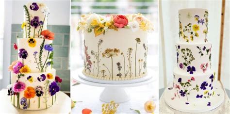 Pressed Flower Cakes Dried Flower Cake Fresh Flower Cakes