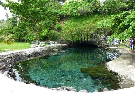 Piula Cave Pool Upolu Samoa Address Attraction Reviews Tripadvisor