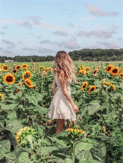 2022 Sunflower Fields On Long Island New York Find Love And Travel